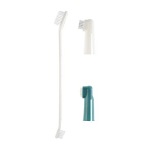 Beauty and care > 3 assorted tooth brushes | GIMBORN