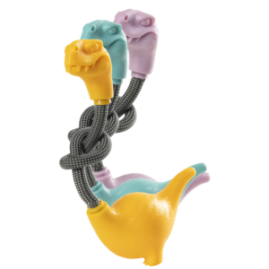 Toys > GD DINOSAUR | GIMBORN