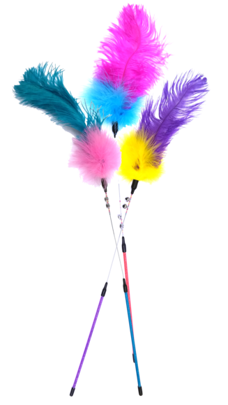 Toys > CAT TEASER W/FEATHERS&BELLS | GIMBORN